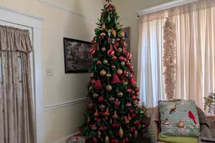 15340 Low Country Hwy, Olar, SC 29843 - Photo 6