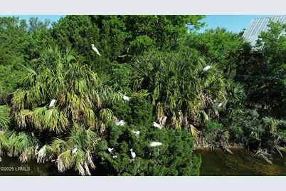 6 W Marsh Drive, Harbor Island, SC 29920 - Photo 24