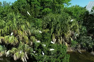 6 W Marsh Dr, Harbor Island, SC 29920 - Photo 24