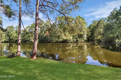 9 Bracken Fern, Bluffton, SC 29910 - Photo 84