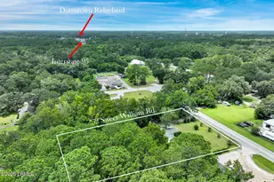 52 Sweet William Rd, Ridgeland, SC 29936 - Photo 10