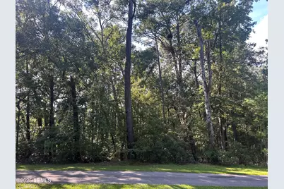 96 Barnaby Bluff, Seabrook, SC 29940 - Photo 2