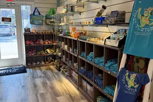 229 Sea Cloud Cir, Edisto Beach, SC 29438 - Photo 16