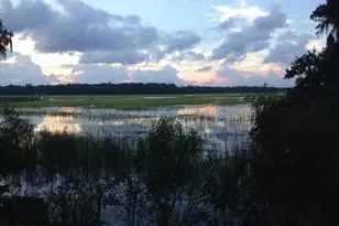 18 Chechessee Cir, Okatie, SC 29909 - Photo 62