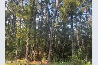 29 Harbor Breeze Drive, Saint Helena Island, SC 29920 - Photo 2