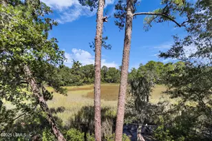 91 Jarvis Creek Ln, Hilton Head Island, SC 29926 - Photo 50