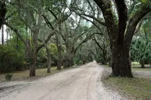 47 Ave of Oaks, Saint Helena Island, SC 29920 - Photo 50