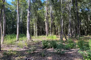 51 Mary Smalls Rd, Saint Helena Island, SC 29920 - Photo 1