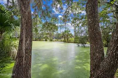 45 Vinel Lane, Bluffton, SC 29910 - Photo 16