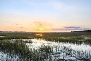 6 Pole Creek Ln, Okatie, SC 29909 - Photo 98