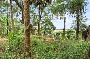 6 Pole Creek Ln, Okatie, SC 29909 - Photo 84