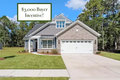 250 Thistle Lane, Beaufort, SC 29907 - Photo 1