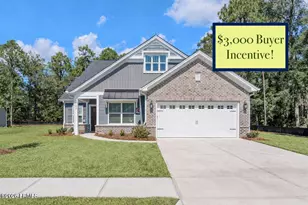 250 Thistle Ln, Beaufort, SC 29907 - Photo 1