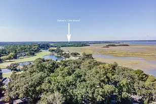 210 Cotton Dike Rd, Saint Helena Island, SC 29920 - Photo 62