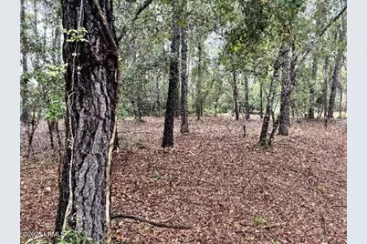 21 Fort Fremont Court N, Saint Helena Island, SC 29920 - Photo 14