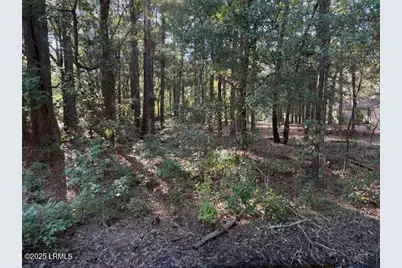 77 Wade Hampton Drive, Beaufort, SC 29907 - Photo 2