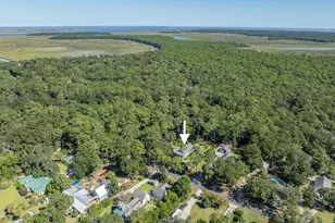 66 Dulamo Bluff, Saint Helena Island, SC 29920 - Photo 56