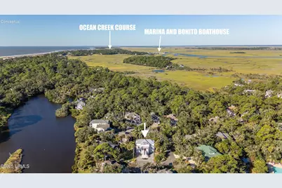 285 Deer Lane, Saint Helena Island, SC 29920 - Photo 56