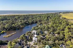 285 Deer Ln, Saint Helena Island, SC 29920 - Photo 58