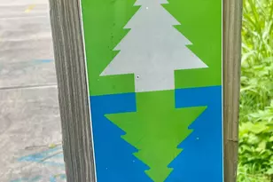 2301 Langhorne Dr, Beaufort, SC 29902 - Photo 30