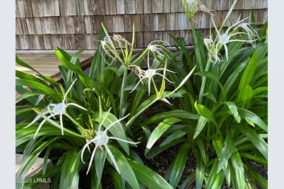 16 McCalley Creek Lane, Seabrook, SC 29940 - Photo 38