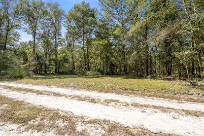 469 Evangelist Drive, Early Branch, SC 29916 - Photo 2