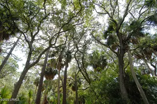 410 Skimmer Cove, Fripp Island, SC 29920 - Photo 20