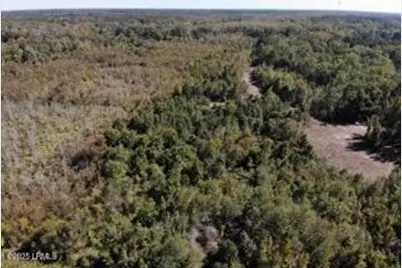 Tbd Broxton Bridge Road, Bamberg, SC 29003 - Photo 2