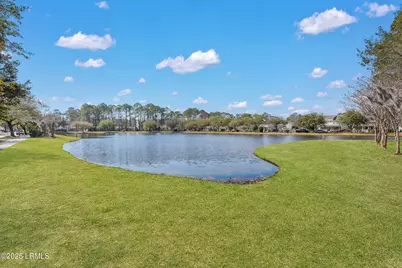 46 Able Street, Bluffton, SC 29910 - Photo 28