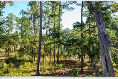 4 Mayon Point, Okatie, SC 29909 - Photo 66