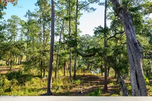 4 Mayon Point, Okatie, SC 29909 - Photo 66