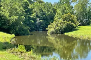 2711 Switchgrass Dr, Beaufort, SC 29902 - Photo 40