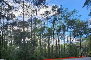 84 Barnaby Blf, Seabrook, SC 29940 - Photo 1