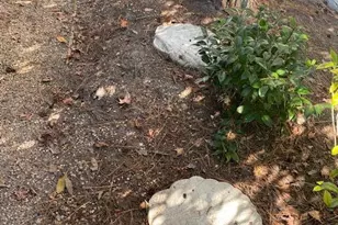 714 N Reeve Rd, Saint Helena Island, SC 29920 - Photo 42