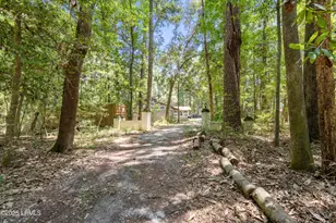 822 Knowles Island Rd, Ridgeland, SC 29936 - Photo 12