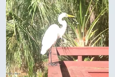 50 Callawassie Club Drive, Okatie, SC 29909 - Photo 34