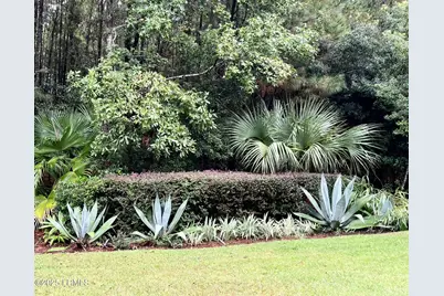 112 Spring Meadow Drive, Bluffton, SC 29910 - Photo 42