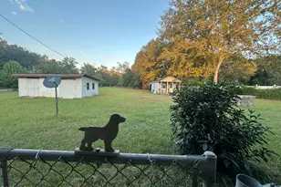 388 Warren St, Allendale, SC 29810 - Photo 6