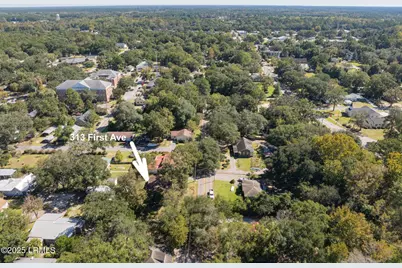 313 1st Avenue, Ridgeland, SC 29936 - Photo 38