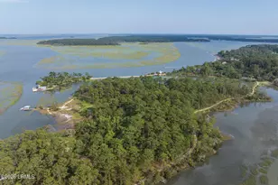 42 Robert Ingram Ct, Okatie, SC 29909 - Photo 76