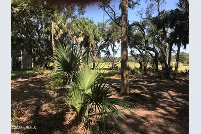 20 Harbor River Circle, Saint Helena Island, SC 29920 - Photo 8