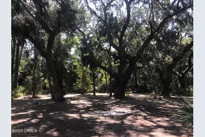 20 Harbor River Circle, Saint Helena Island, SC 29920 - Photo 10