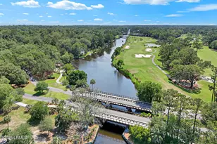 59 Carnoustie Rd, Hilton Head Island, SC 29928 - Photo 62
