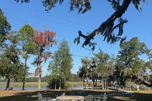 1209 Cassander Crk Rd, Beaufort, SC 29902 - Photo 60