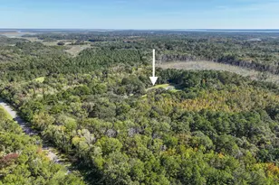 262 Wimbee Landing Rd, Seabrook, SC 29940 - Photo 6