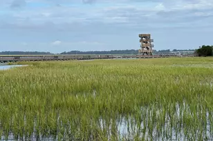 1503 Paris Ave, Port Royal, SC 29935 - Photo 78