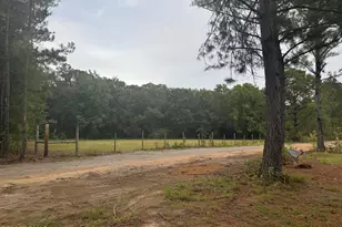 437 Cedar Crest Dr, Tillman, SC 29943 - Photo 2