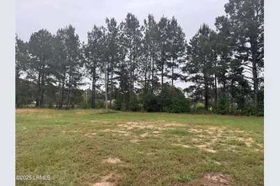 437 Cedar Crest Drive, Tillman, SC 29943 - Photo 4