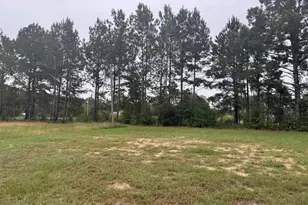 437 Cedar Crest Dr, Tillman, SC 29943 - Photo 4