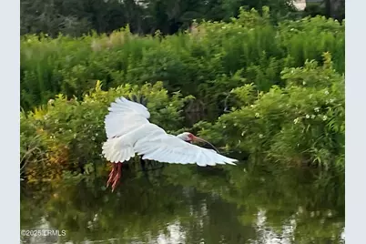 1503 Paris Avenue, Port Royal, SC 29935 - Photo 84